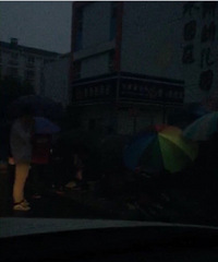 �ϸ��׶�԰���� 36����ˮ԰������10���Ѿ����Ŷ��ˣ�