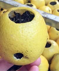 ��˭�ȹ����������  ���֣�