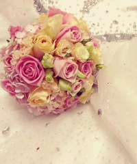 ӭ������/�鷿��̨�������