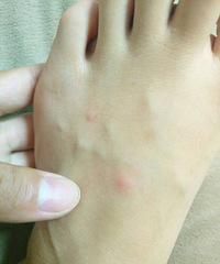 ���ǹ�������