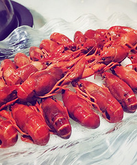 小熊猫的“食”经:经历一场海陆空的狂轰滥炸