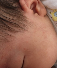 ���ƣ����ӡ���PP