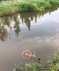 �����̵�ľջ������ Ħ�ݿ���������衱...