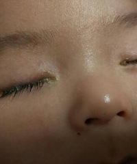 ��������ʺ����۾��������� �۽�ë�϶��У�