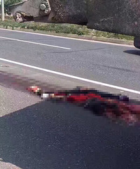 ����ͻ�����ҳ��������̳������������ ����ֻʣһ̲��