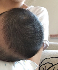 ������ͺ