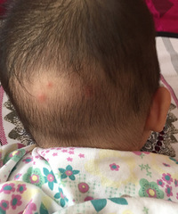 ����������Ϻ����ɶ������ҧ��Ȼ��