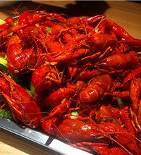 С��Ϻ���ơ�� ��˹��