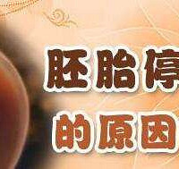 30��ͷ�ò�����ӭ����һ������ ȴ��9��̥ͣ  ҩ��+�幬