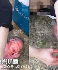 ����������һ15����Ů���в��ӣ�