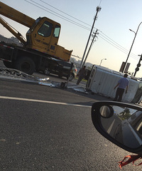 ��ţ����ͣ����  �෭ͣ����