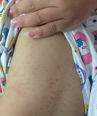 ����������