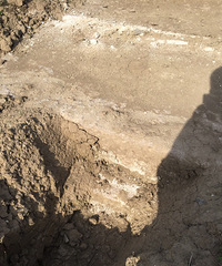 �����ϼҷ��ֹ�Ĺ����ҿ�����ʲô�����ģ�