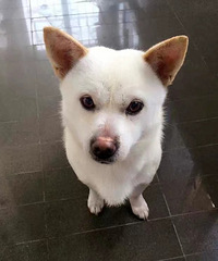 ���ײ���20�� 92��GG ϲ��è�� ����˽����Ŷ