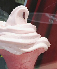 һ����Ͳ�����ĸп�