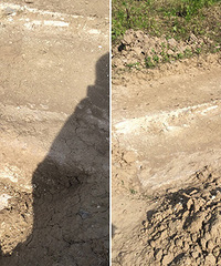 ����ĳ�ط��ֹ�Ĺ ��˵���Ǹ��峤�ģ�