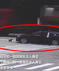 Ů�����ƿ������·��ײ�� ��Ȯ��׷���³�ȫ������