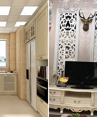 ��³���Ч��ͼ+����ŷʽ�ƹ�