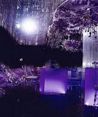 ��ֵ28800Ԫ�����첼�������