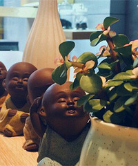 �β��� �ֲ�