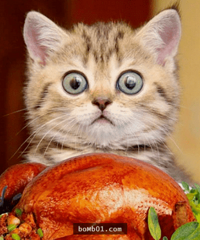 ¥���ȶ��½���Ϊɶ���¥�������������˶�û