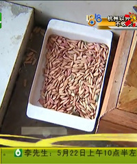 ���ˣ�����ĳ����������������ҩ ��С��������ʳ...