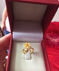 ��2017�������ռǡ�Ԥ����10000�����4300�͸㶨��