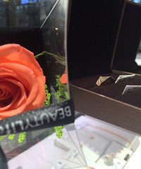 ����Ԥ����10000�����4300�͸㶨��