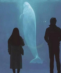 93��GG ��ʣ����ʱ�� ���Ҹ��Ը���õĹ���