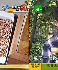 ���ˣ�ĳ�������������ҩ...