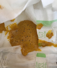 �����������ĭ