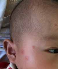 ����4�������ˣ��������������ϳ��˺ܶ��