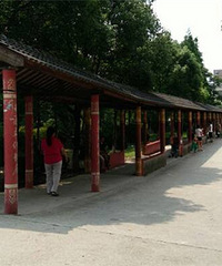 ��¥�������߷� 5000Ԫ����