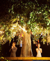 ��׼���������ҡ���鲻�򷿣�δ�����ſ�ʼ������ս��