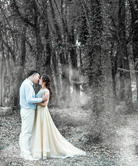 ��2017�������ռǡ����ܸ�����ػ�ɴ��Ӱѡ��Ƭ�����Ⱦ���