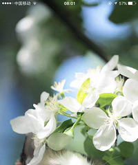 �˰�����