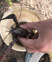 ����Ȧ���˵�����ô����Ϻ ����Ľ��