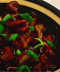 ���������ҵ� ����û�����Ի���֪��