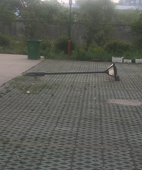 �����Ѿ���һ������ Ҳû��������һ�ѣ�