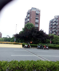 ��Ҫ������Ϊ�˲�Ұ�� Ů�������˻��������Ե���...