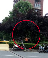 �峿5��� 3�����Ů�����ϸ������Ұ��