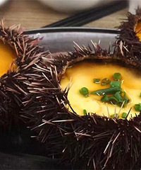 �����������ȱ���򺡢ʯ���㡭��ҳԺ���ˬ��