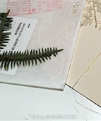 ��嶼εĽ��������������ȫ���ֹ�һ��һ������