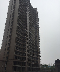 15���ڼ������˷� ��������50���� �����ҷ�����