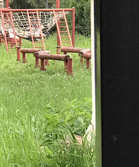 ��Ժ����һĻ����ͥ����֮�� һ��һŮ����һ��...