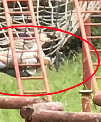 ��Ժ����һĻ ��ͥ������...