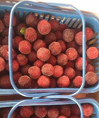 ��һ���ɾ���÷ 120Ԫ6���  ���ѣ��ù�