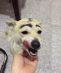 ��ȥ�� �͹�ȥ��