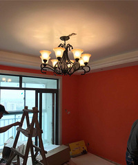 ��԰����к���Ĵ��͵��ӹ�輸ʲô���ӱȽϺã�