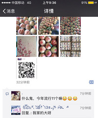 �Բ��������